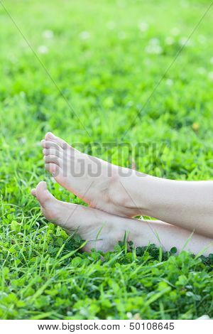Barefooted Attractive Female Feet Laying In Green Grass