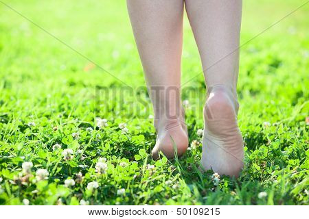 Female Beautiful Legs Stepping On Green Grass
