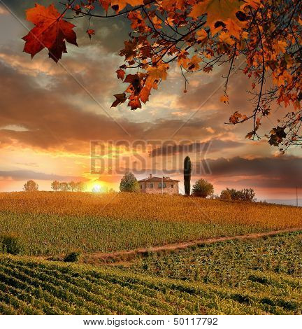Chianti vineyard landscape in Tuscany, Italy