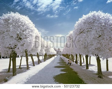 Farmstead Kuskovo. Infrared Photo