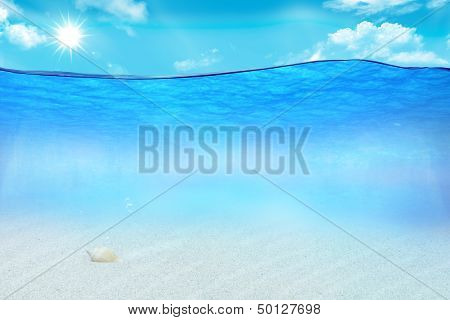 Illustration Of Marine Life