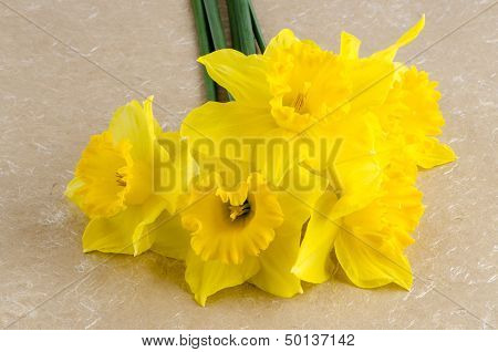 Jonquil Flowers