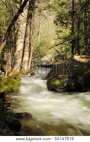 Cascades