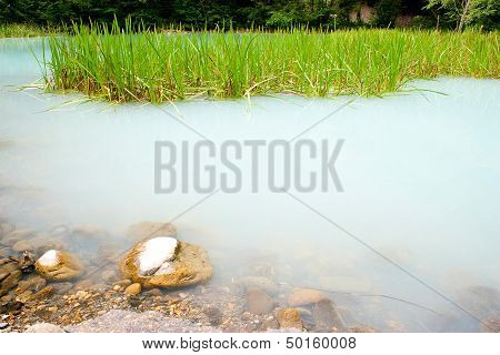 The Unique Turbid Lake