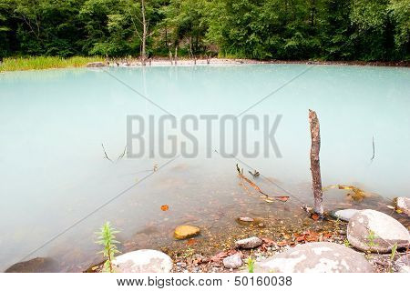 The Unique Turbid Lake