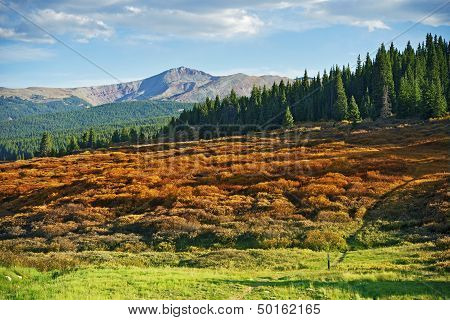 Colorado