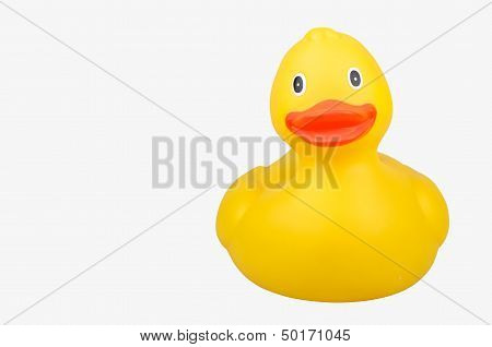 Yellow Plastic Duck with Clipping Path (Front Profile)