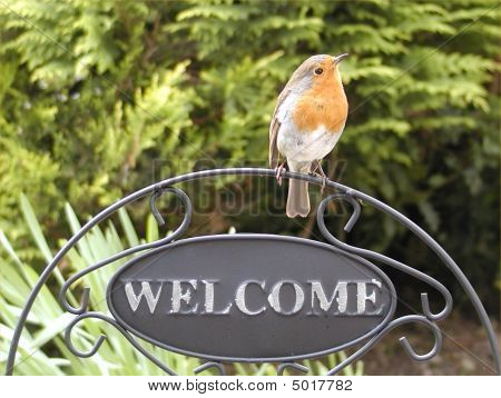 Robin_welcome Image & Photo (Free Trial) | Bigstock