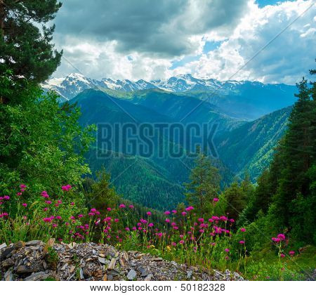 ภูมิทัศน์ภูเขาดอกไม้บนพื้นหน้าใน Svaneti จอร์เจีย