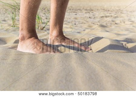 Beach Sea Sand Legs Closeup