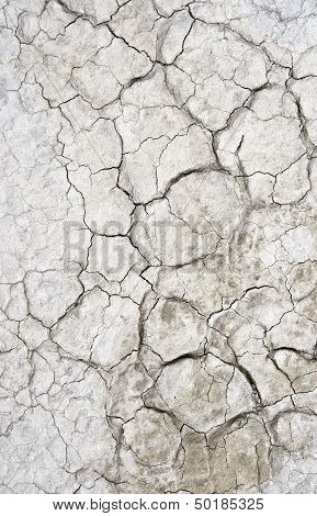 Lakebed