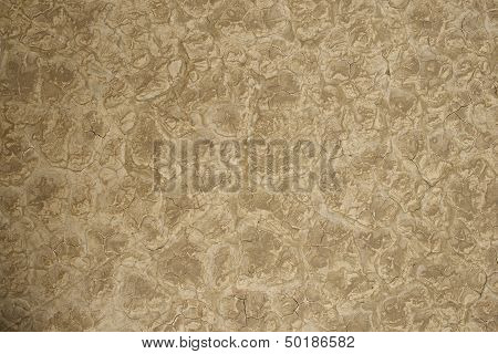 Lakebad Dry Background