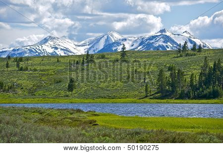 Northern Yellowstone