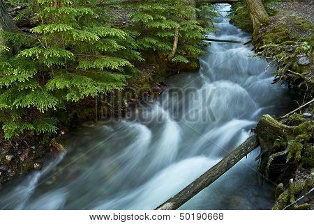 Little Mountain Stream