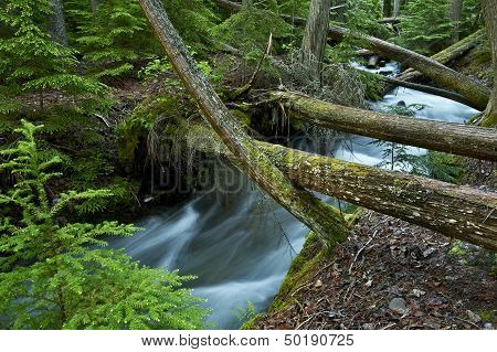 Hidden Creek