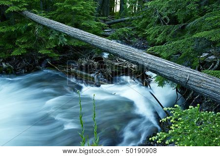 Water Creek