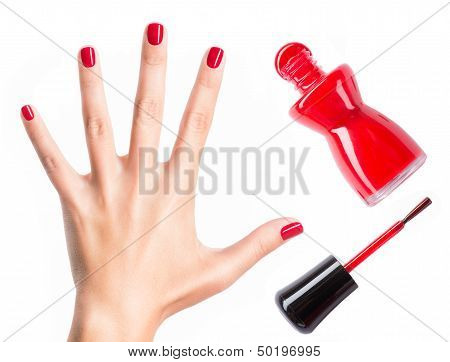 Beautiful Female Hands With Red Manicure