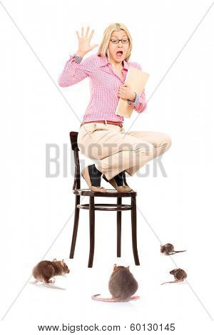 Scared woman standing on chair during a rat invasion, isolated on white background
