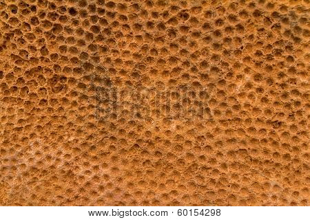 Mnajdra Temple Texture