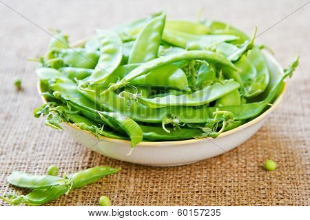 Snow Pea