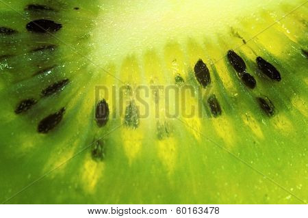 Fruit of Actinidia.