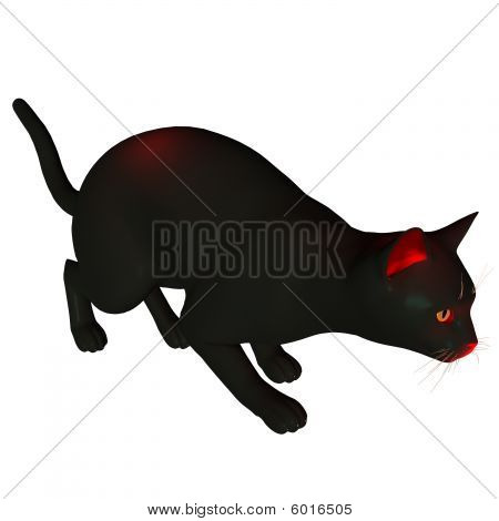 Halloween kočka