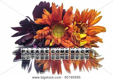 Please Come Back Message