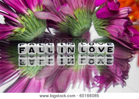 Fall In Love With Pink Flowers