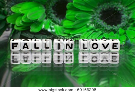 Fall In Love Green Theme
