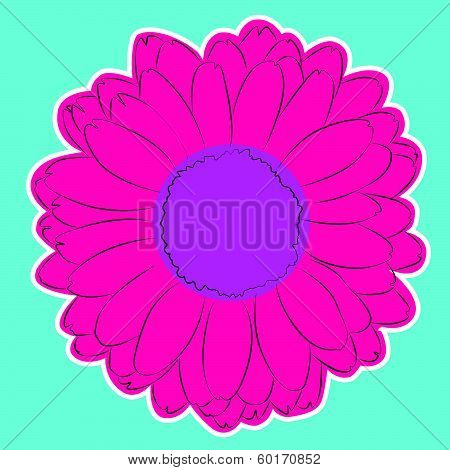 Gerber Daisy