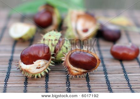 Conker