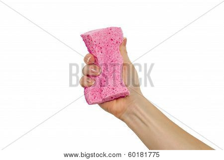 hand with sponge on a white background