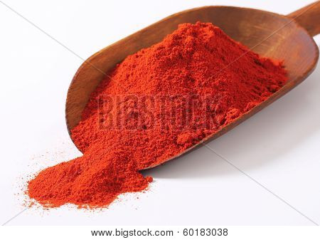 detail of powdery red pepper on the measuring spoon