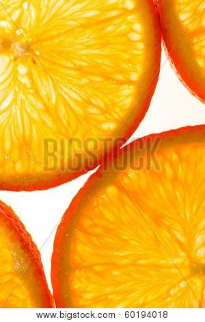 Orange slices on white background