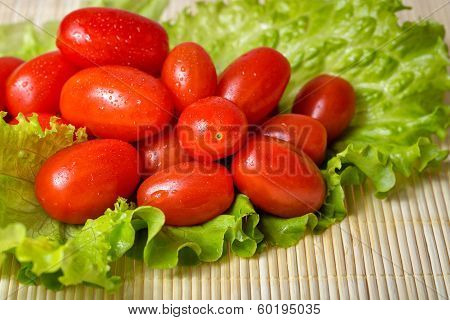 Tomatoes And Lettuce