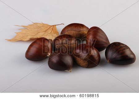 Chestnuts And Leaves