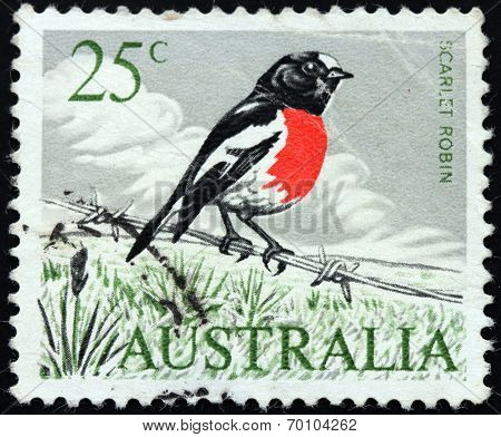 Robin Stamp