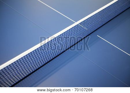 Ping-pong Net