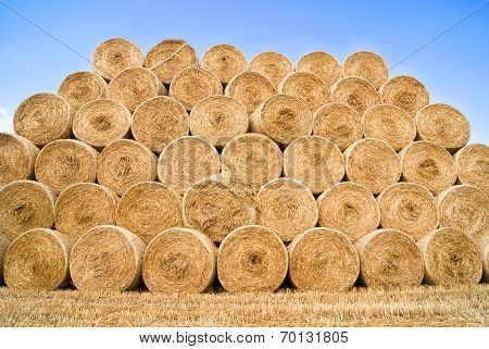 Hay And Straw Bales In The End Of Summer