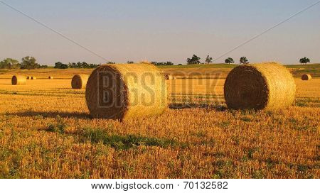 Alfalfa Bales