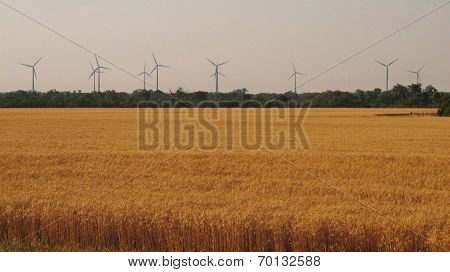 Wind Power