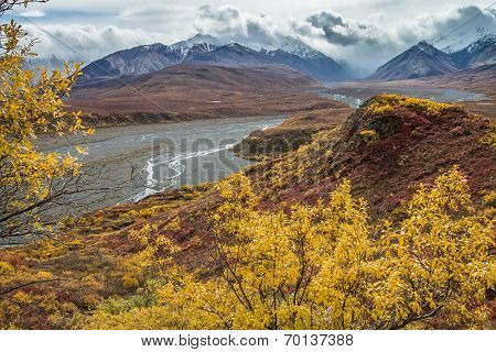 Fall in Denali National Park