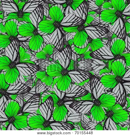 Exotic Of Green Background Pattern Made Of Fancy Red-spot Sawtooth Butterflies