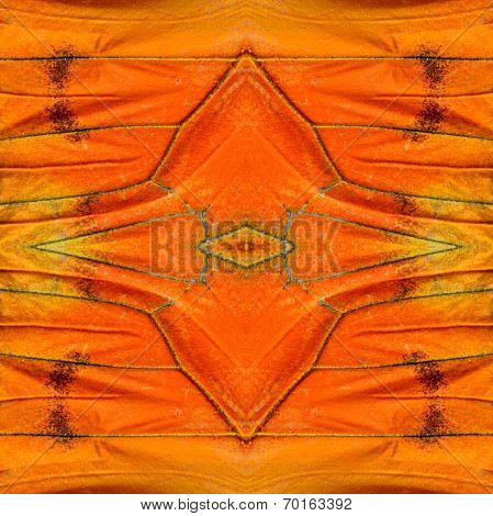 Great Orange Butterfly's Wings Consoliated As The Great Background Patterns