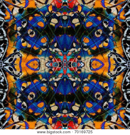The Most Beautiful Of Multicolor Background Texture Made Of Leopard Lacewing Butterfly's Wing Skin