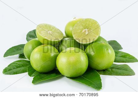 lime lemon and leaf on white background