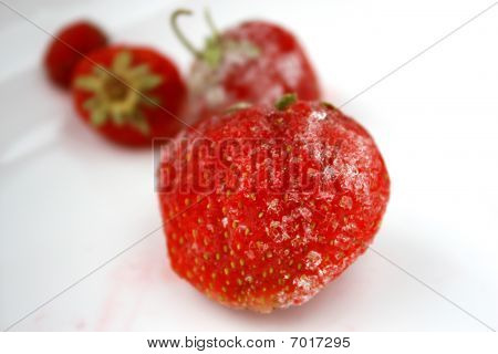 Jordgubbar