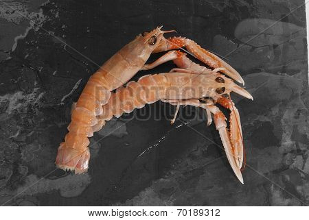 Langoustines