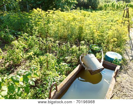 Basin With Water For Garden Watering