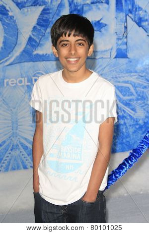 LOS ANGELES - NOV 19: Karan Brar at the premiere of Walt Disney Animation Studios' 'Frozen' at the El Capitan Theater on November 19, 2013 in Los Angeles, CA